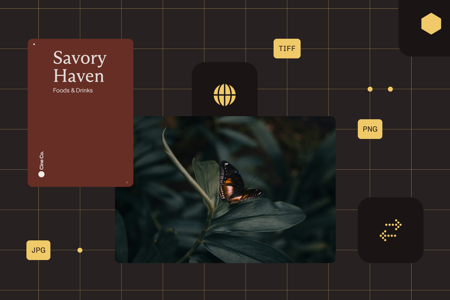 PDF-to-image conversion illustration in Web and Node.js environments