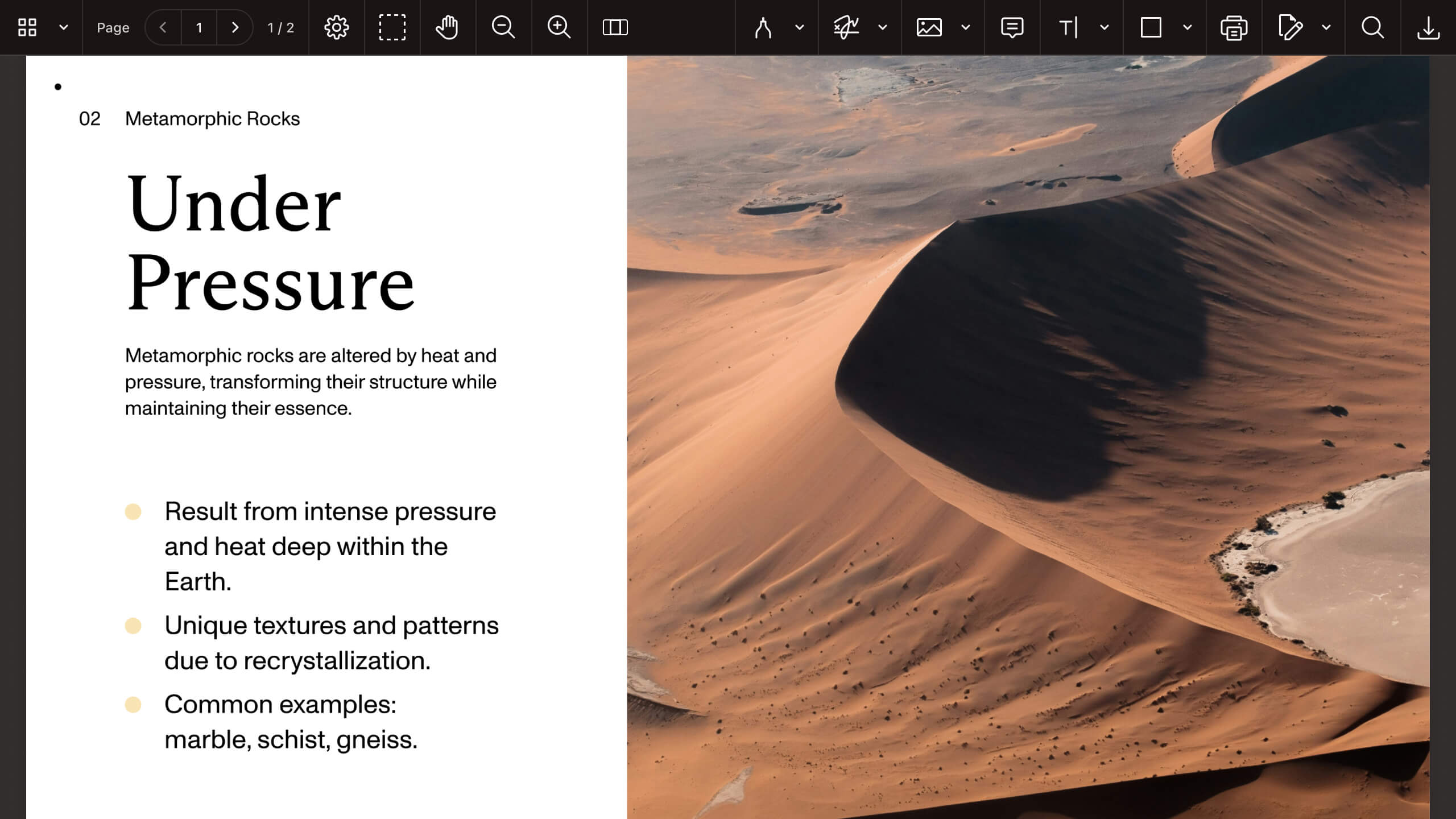 PDF/A document opened in web viewer