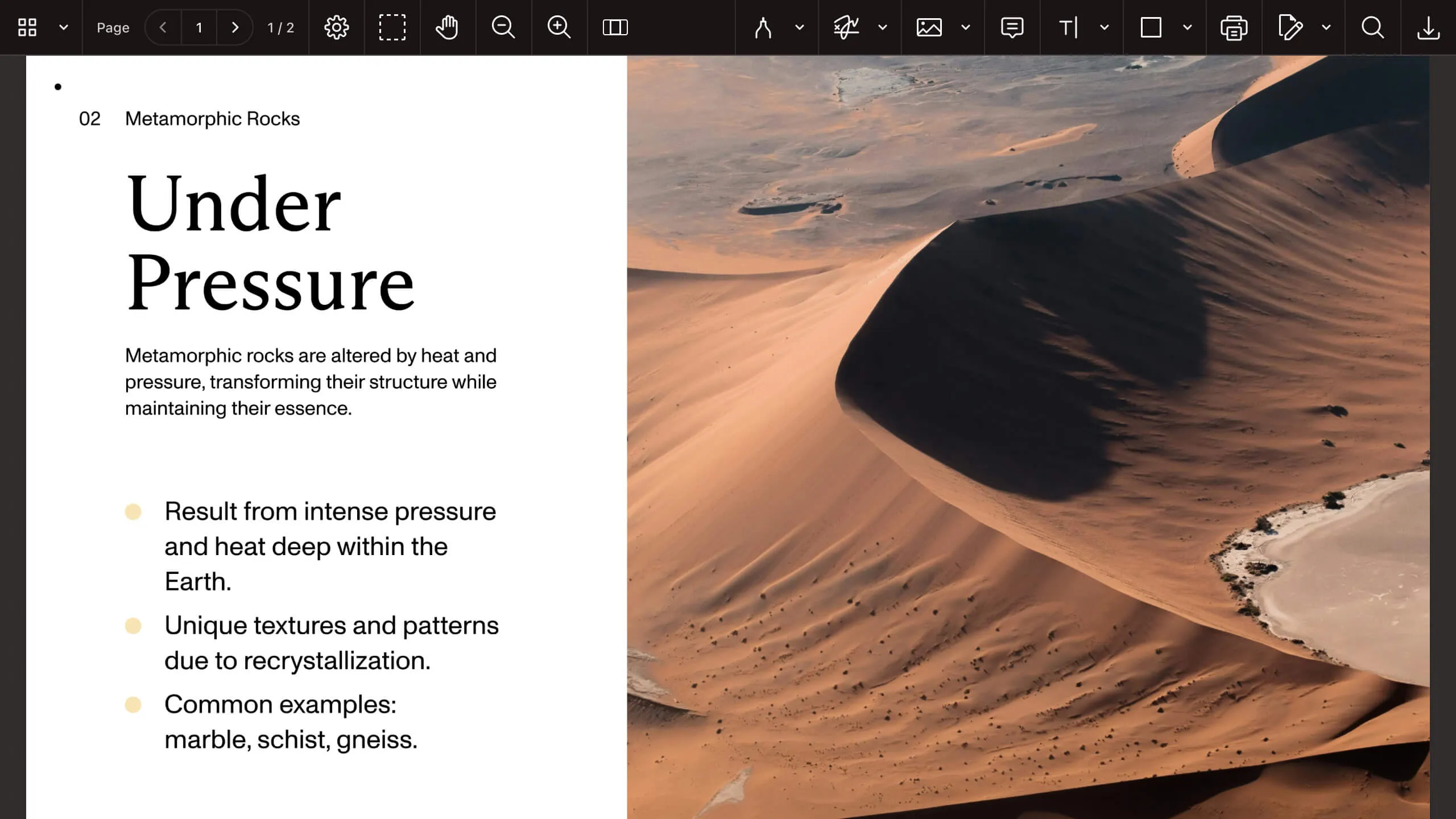 PDF/A document opened in web viewer
