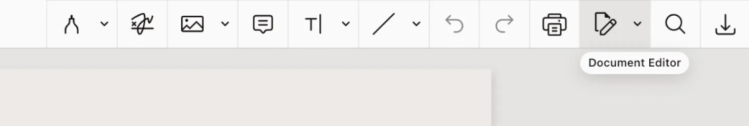The document editor button from the main toolbar