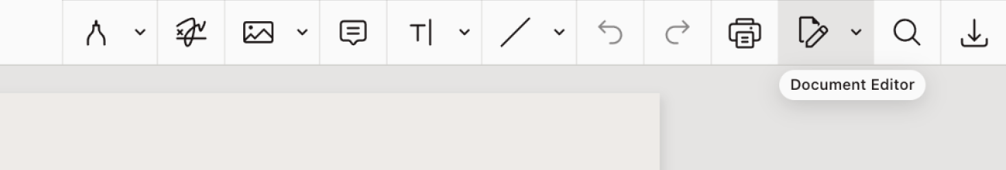 The document editor button from the main toolbar