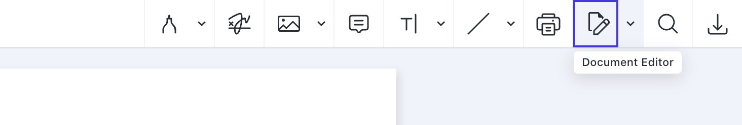 The document editor button from the main toolbar