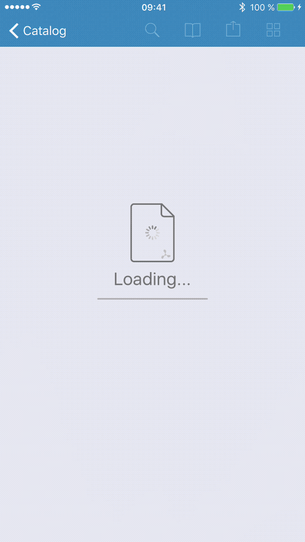 Document Progress Indication
