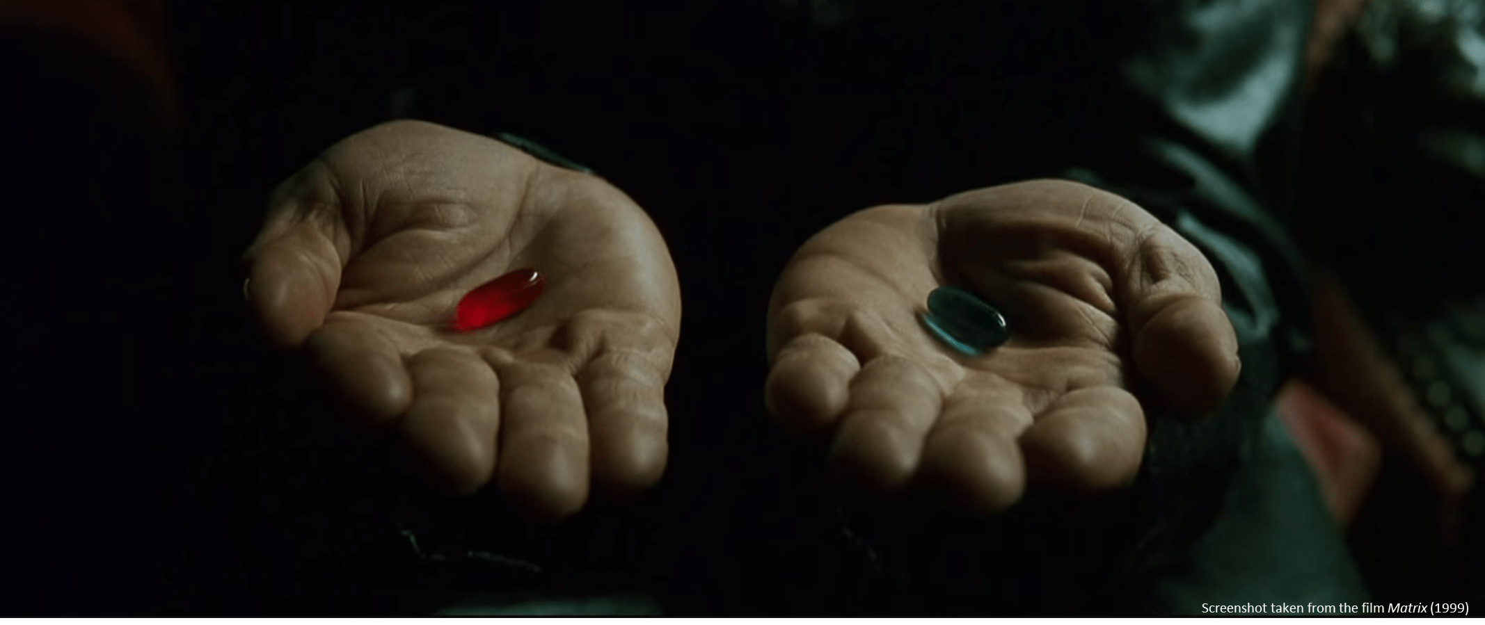 Down in the rabbit hole