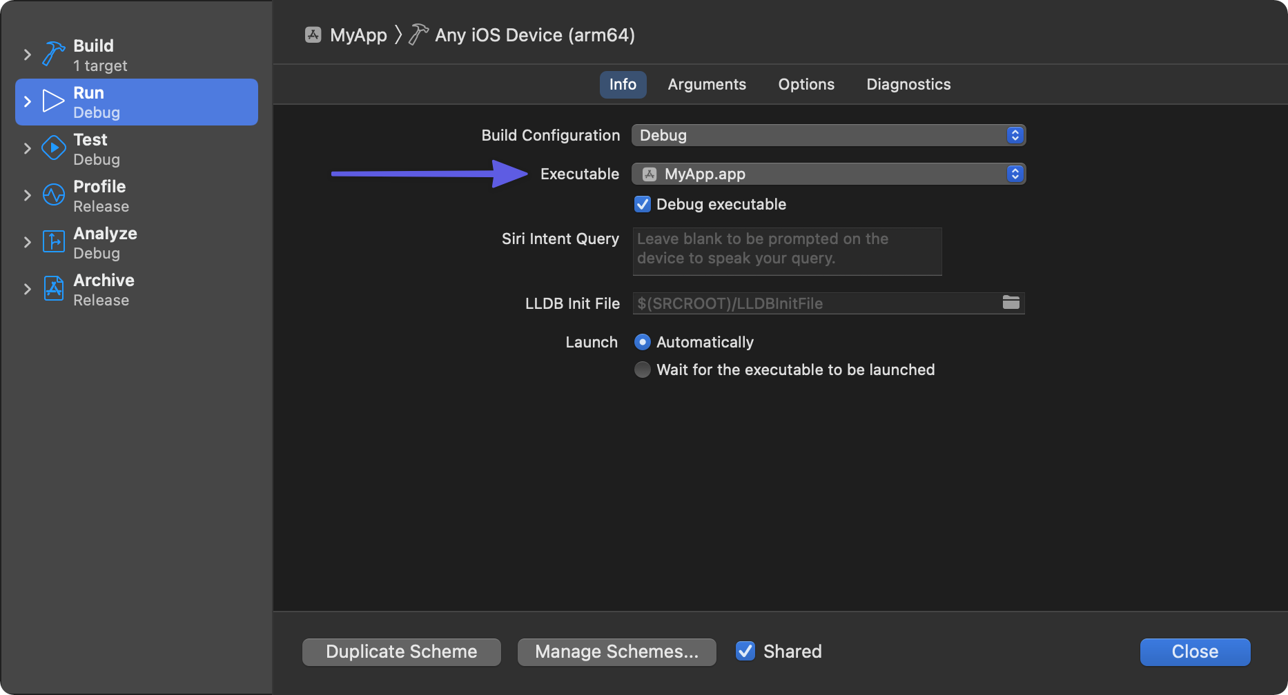 Screenshot of Executable setting location