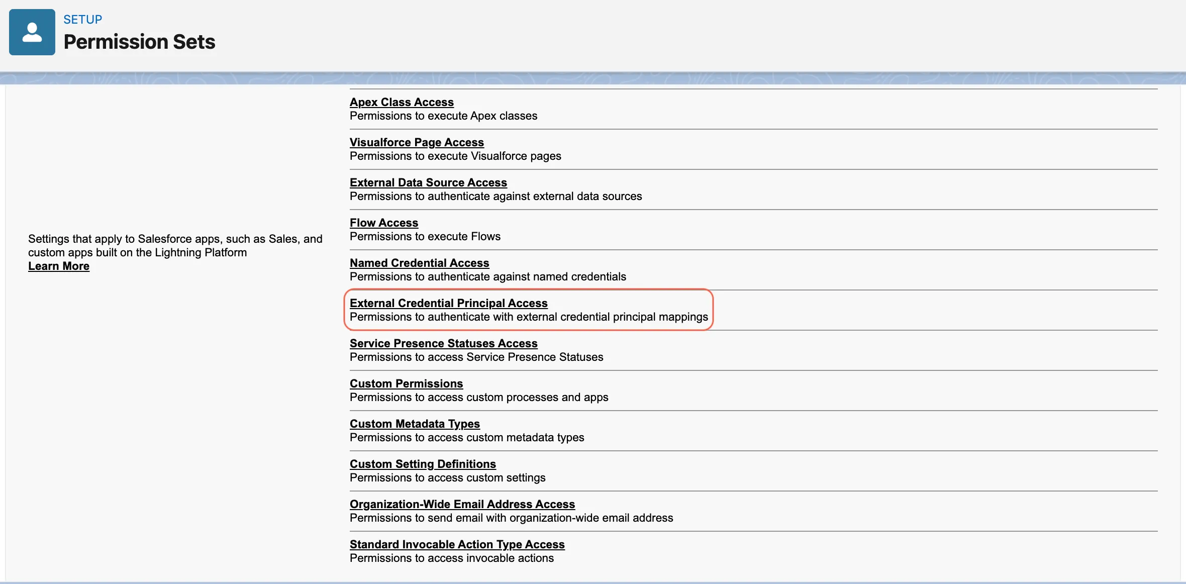 Permission set showing External Credential Principal Access