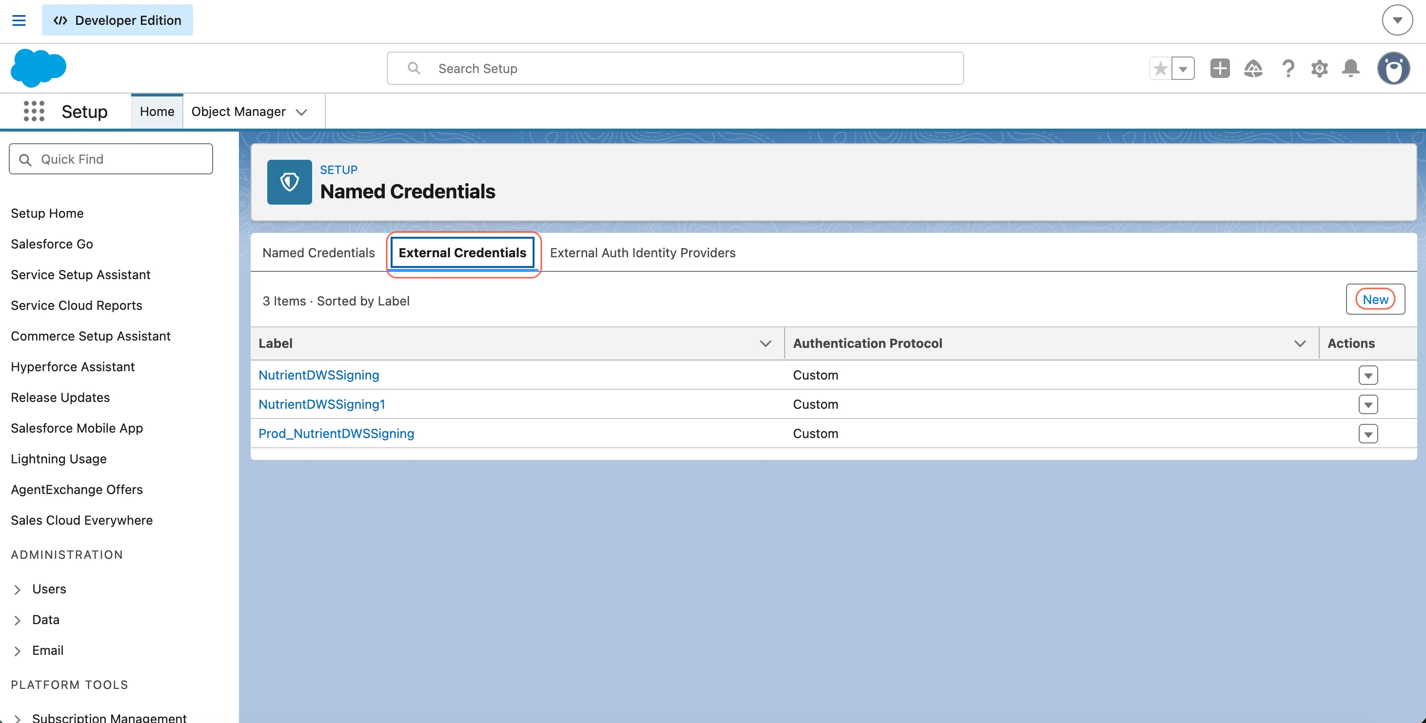 Salesforce External Credentials page showing the New button