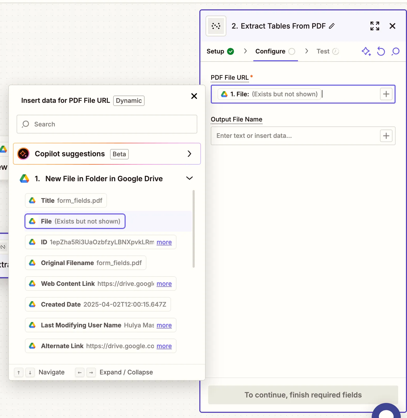 Fill in the action fields including PDF file and output name