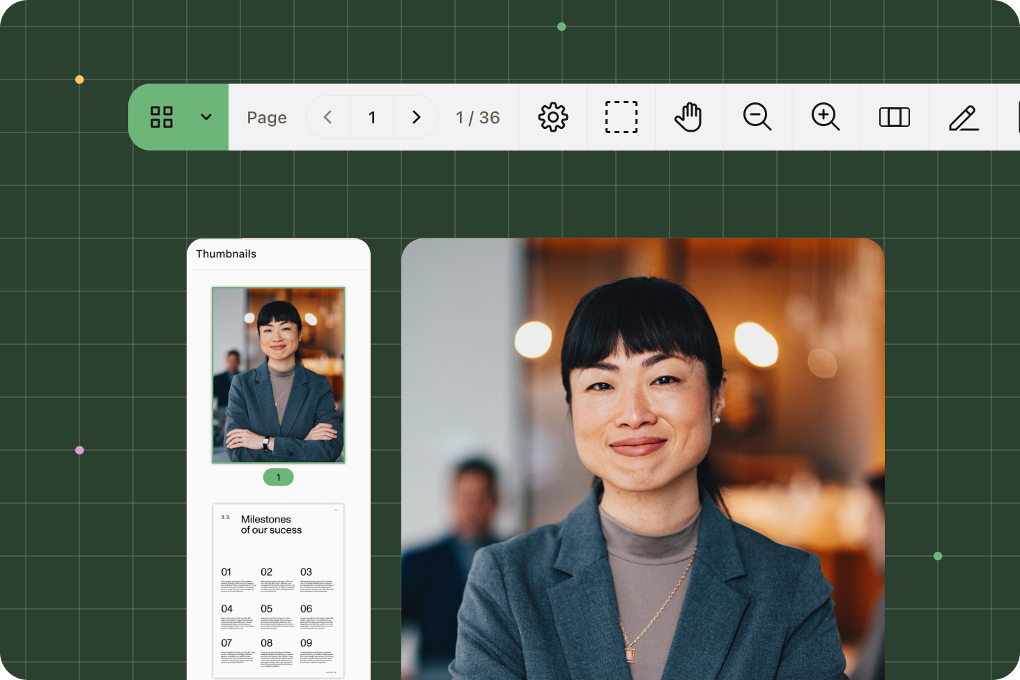 Document viewing interface