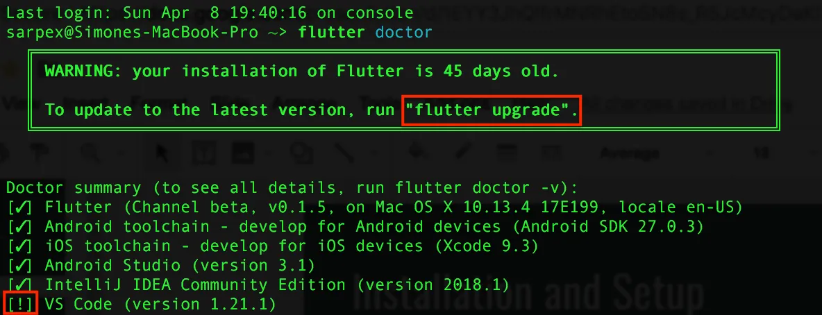 Flutter doctor