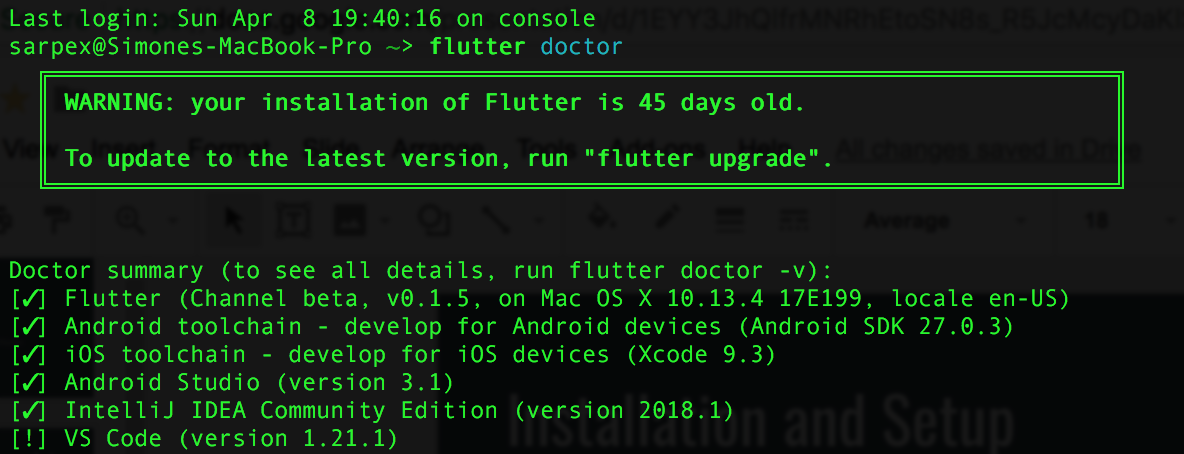 Flutter doctor example