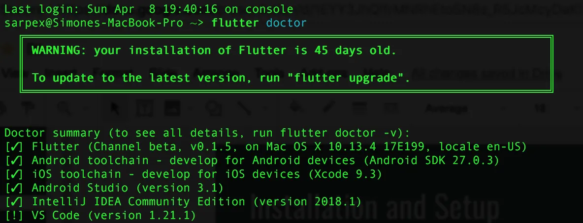 Flutter doctor example