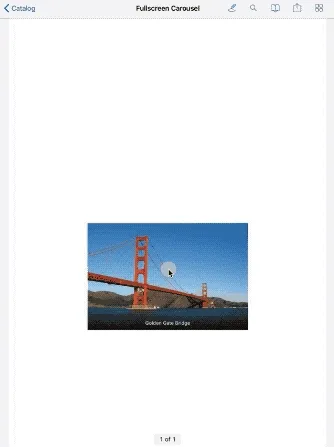 Image Carousel GIF