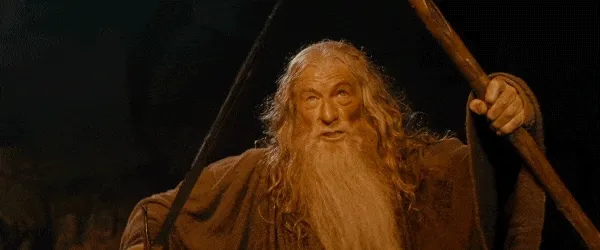 Gandalf you shall not pass gif