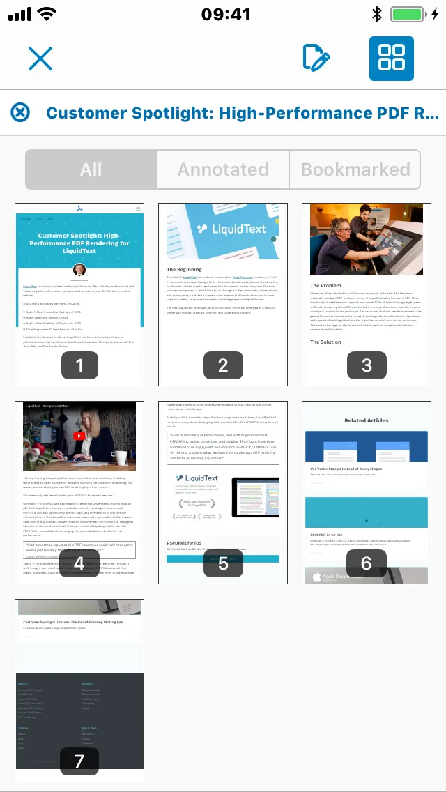 Screen shot of a PDF generated from a webpage