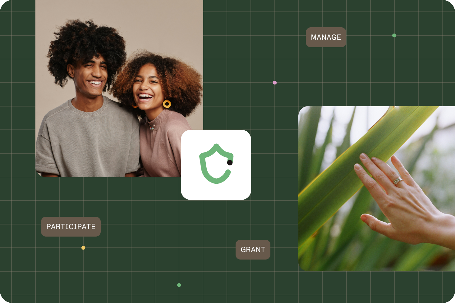Understanding Workflow Automation roles and permissions