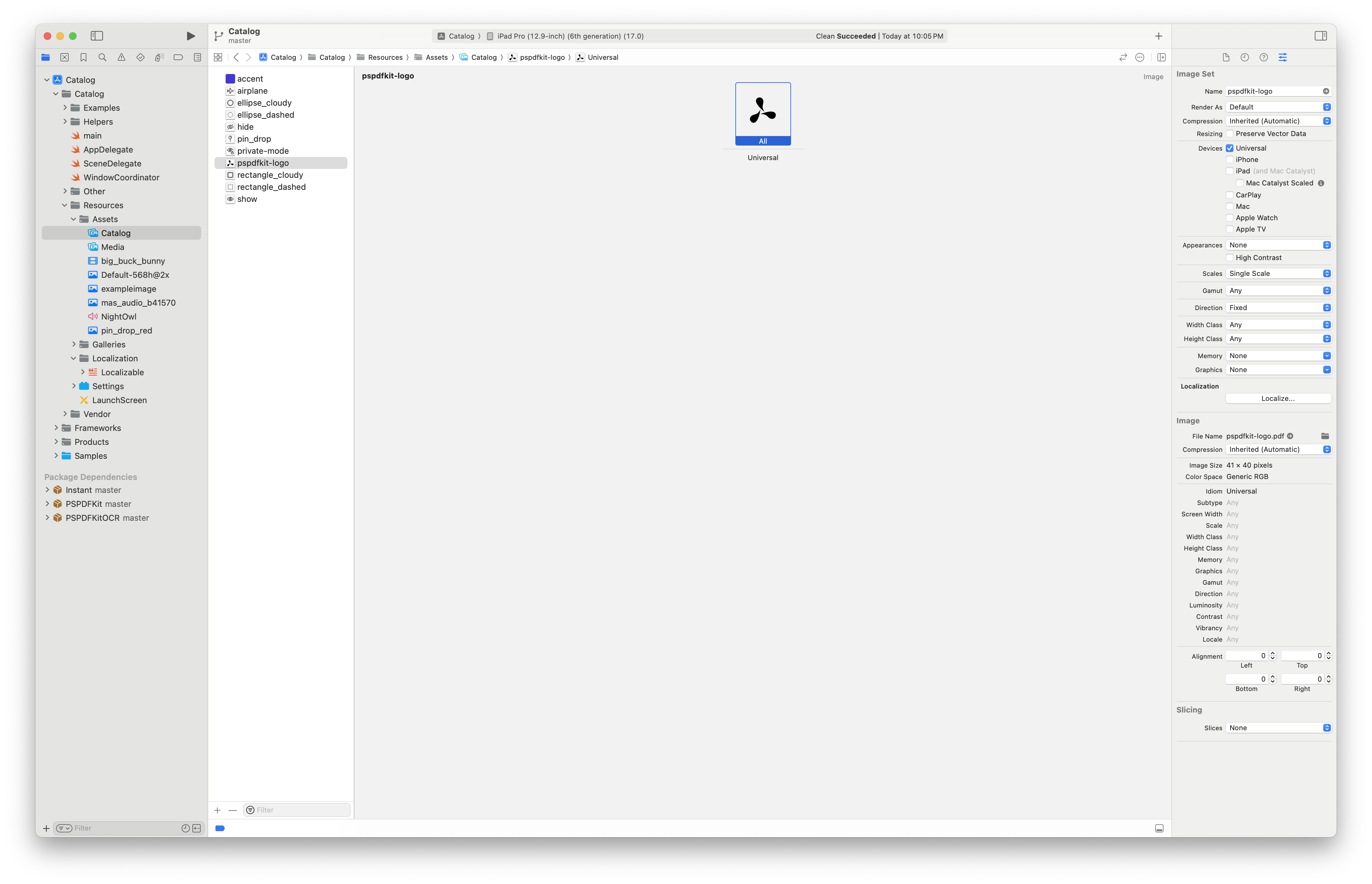Screenshot of Xcode with the Asset Catalog opened and an image selected. Asset Catalog options for an image are visible in the panel on the right hand side