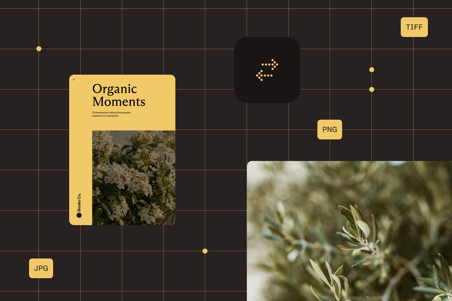 Illustration demonstrating image file conversion