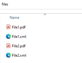 Image showing File1.pdf and File1.xml
