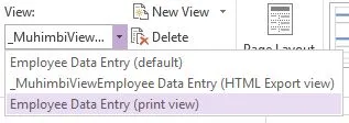 html export view