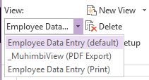 pdf export view