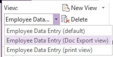 doc export view