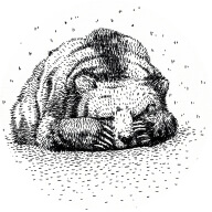 Profile picture of Ingvarr Zhmakin