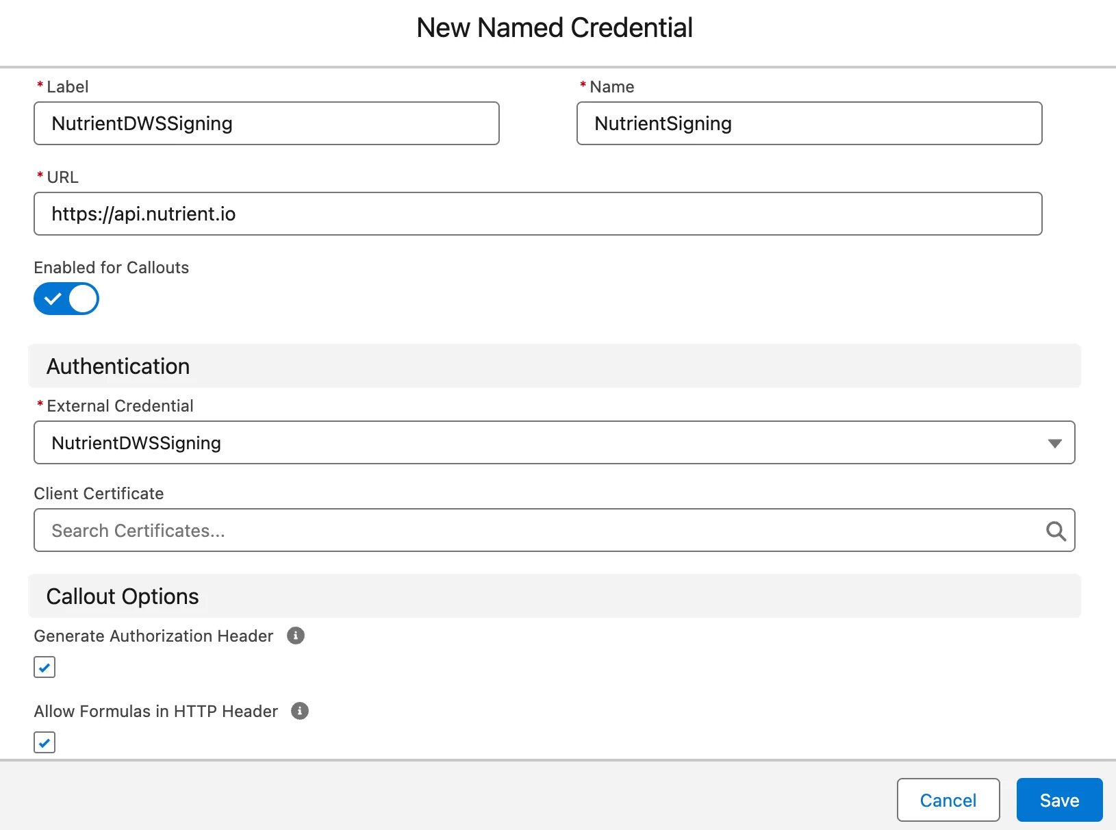 New Named Credential form showing the URL, external credential, and header options