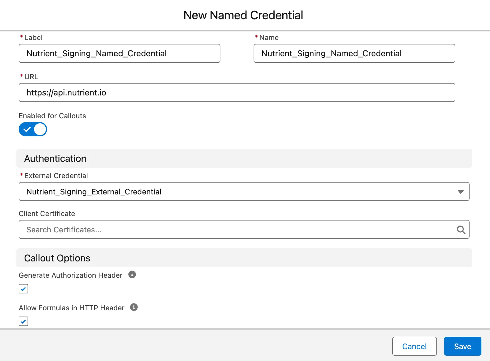 New Named Credential form showing the URL, external credential, and header options