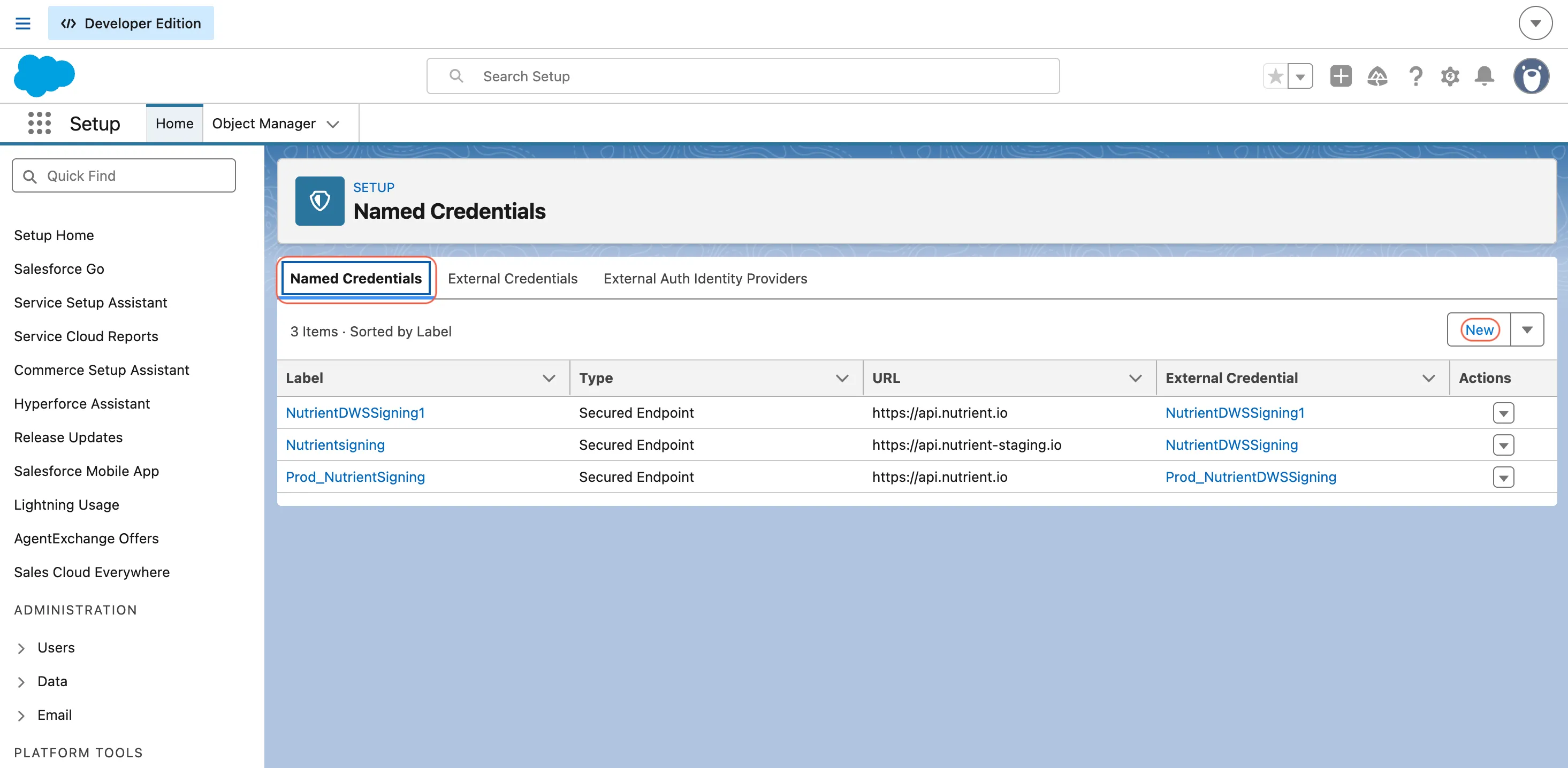 Salesforce Named Credentials page showing the New button