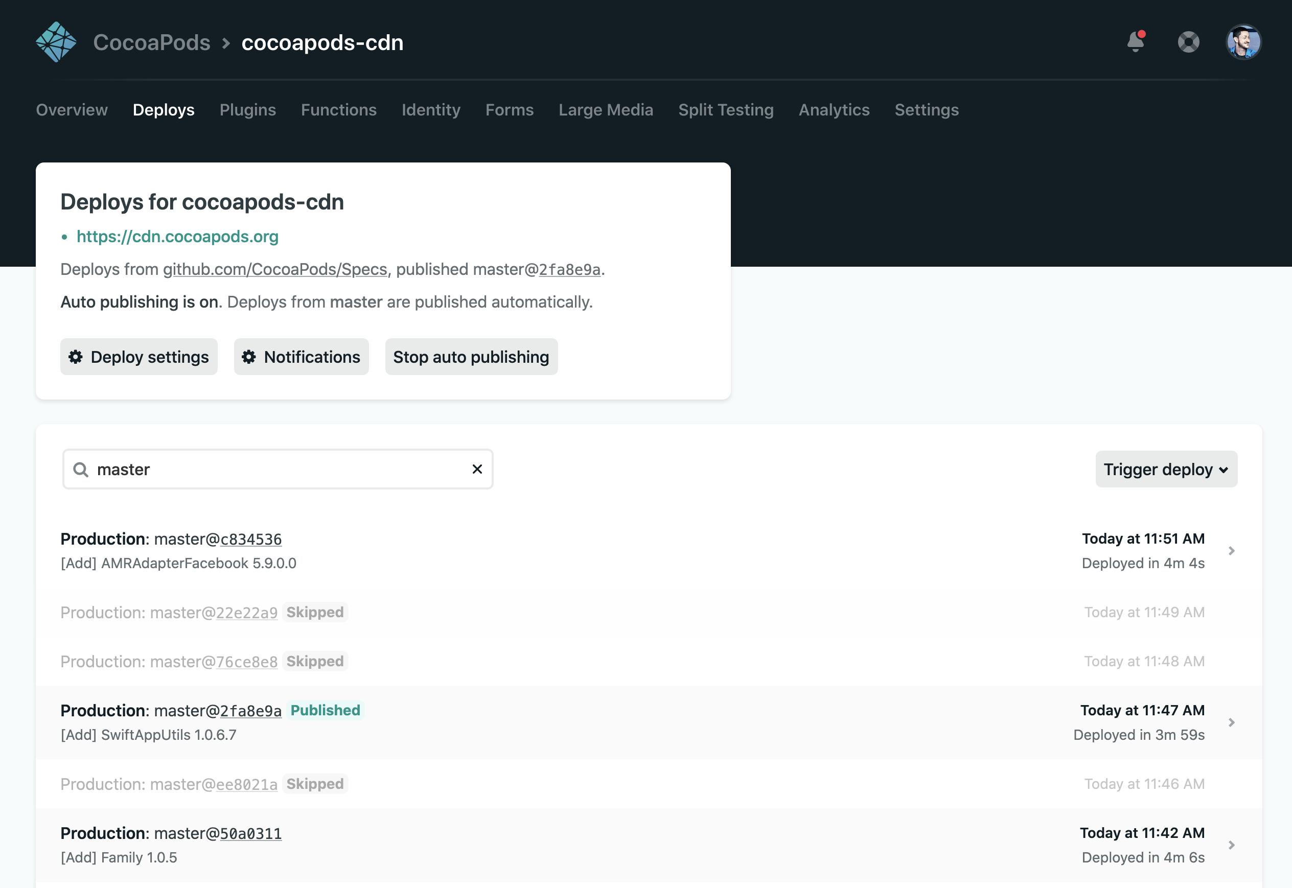 Screenshot of Netlify CDN
