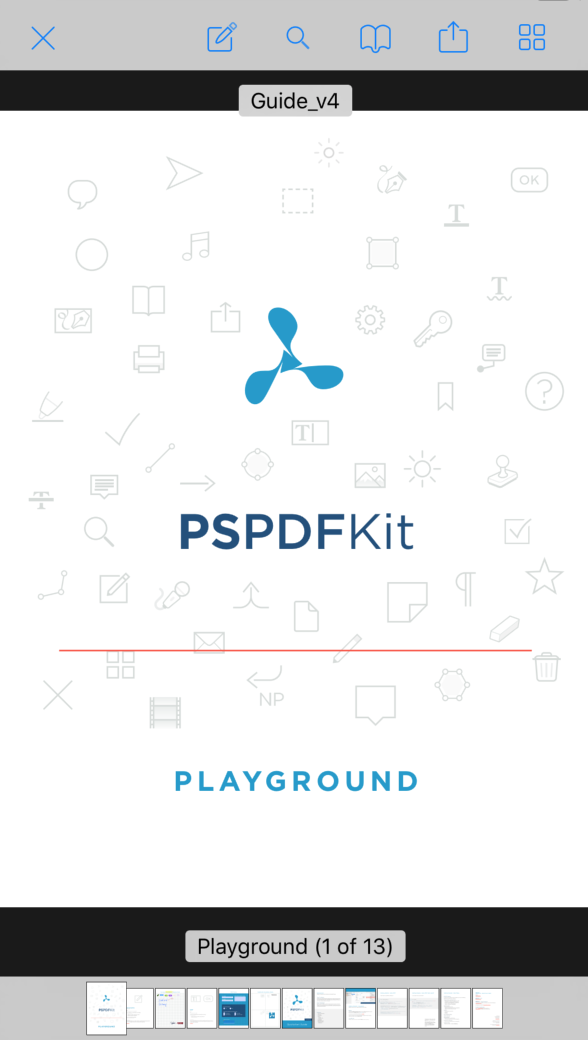 opened-pdf-document-ios