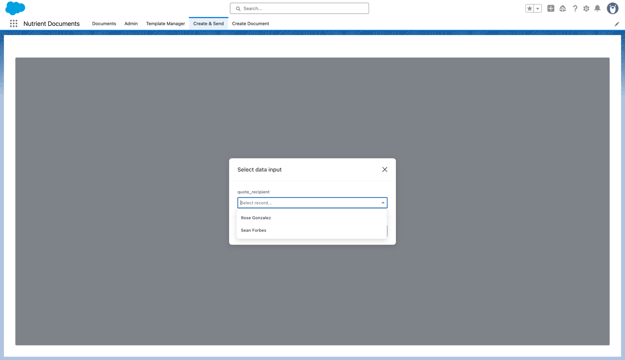 Opportunity data input for document generation