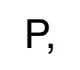 'P comma' shaped
