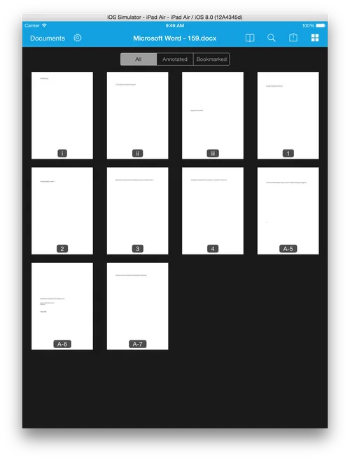 A PDF document showing three page label ranges: lowercase Roman numerals for front matter, Arabic numerals for body content, and a prefixed appendix