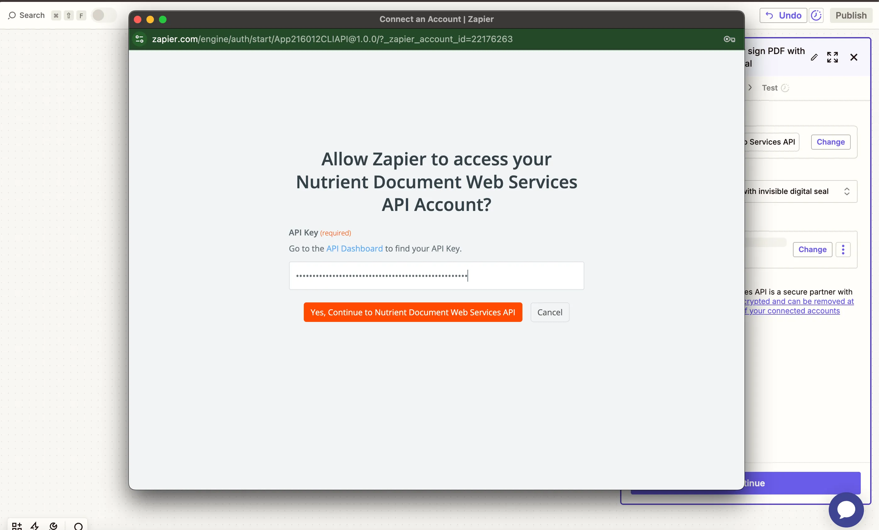 Paste API key for Nutrient API connection