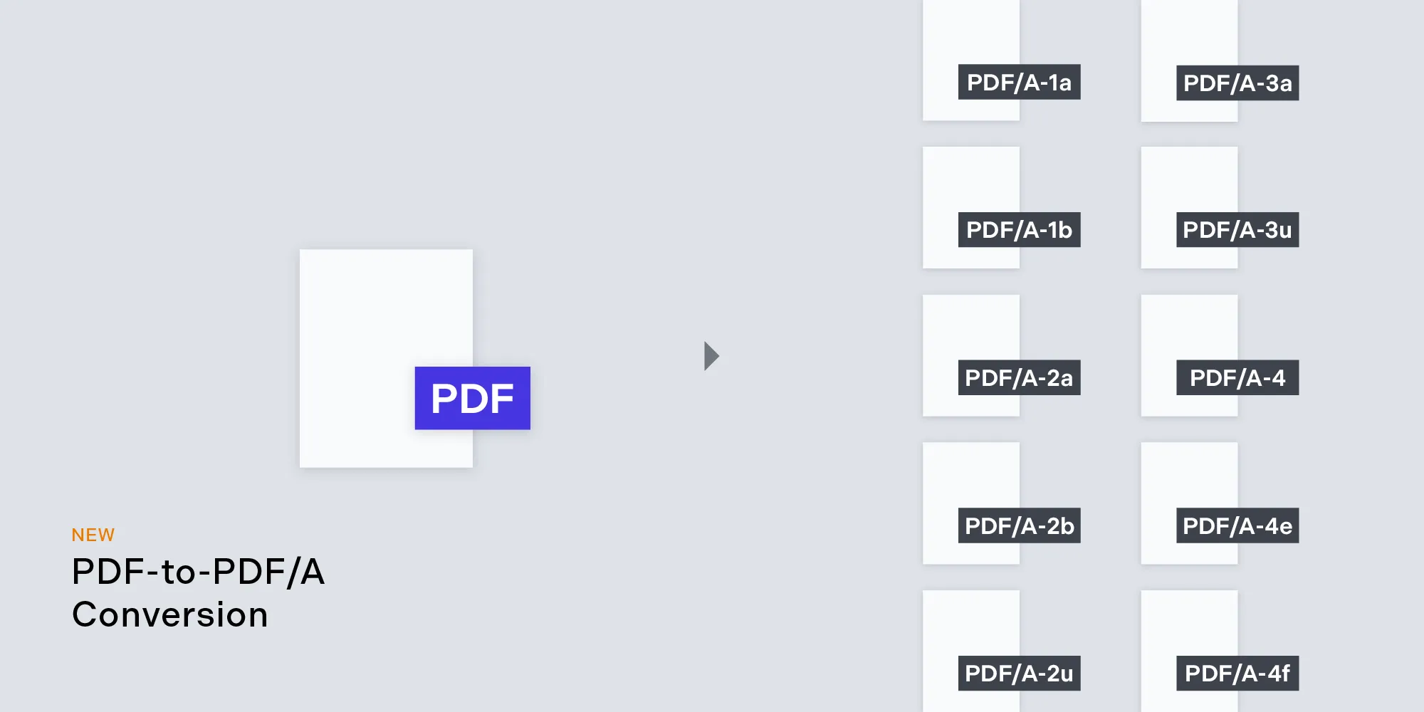 PDF-to-PDF/A Conversion