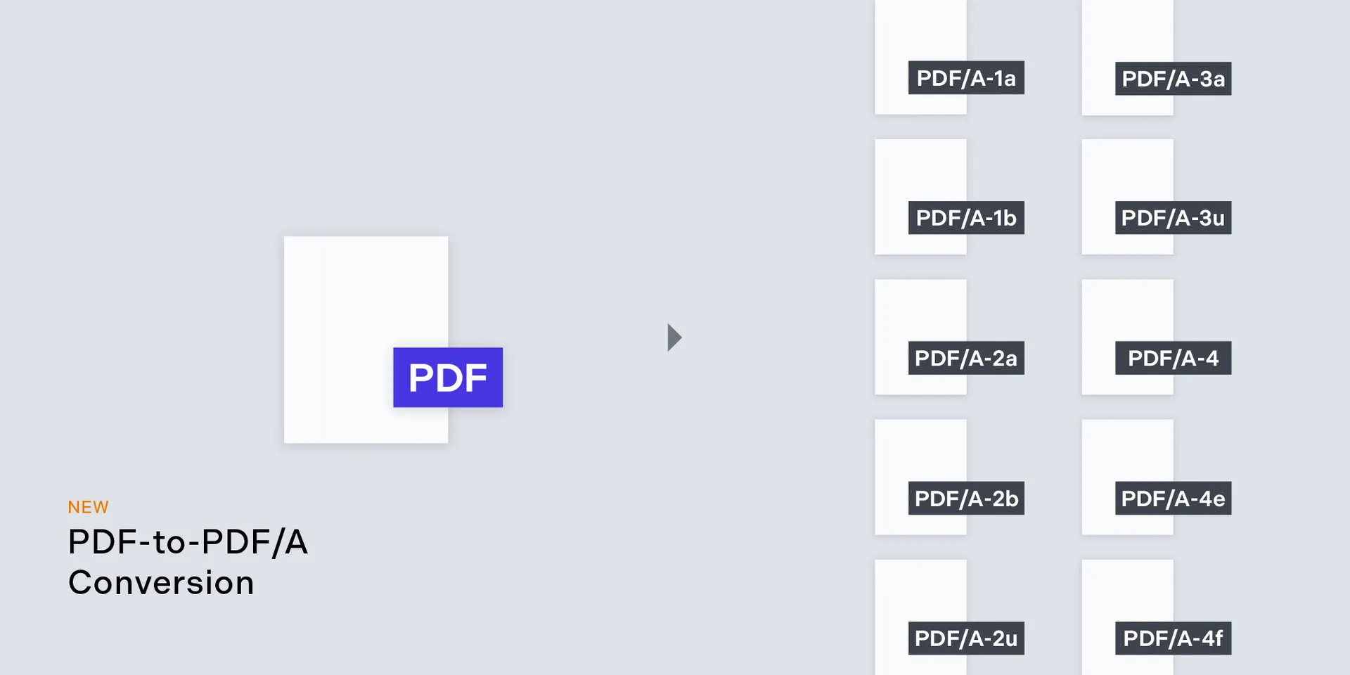 PDF-to-PDF/A Conversion