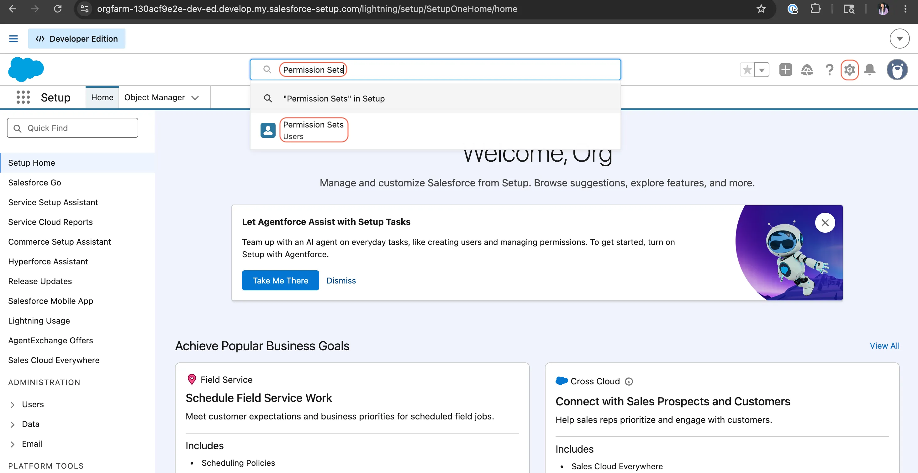 Salesforce Setup showing Permission Sets in Quick Find