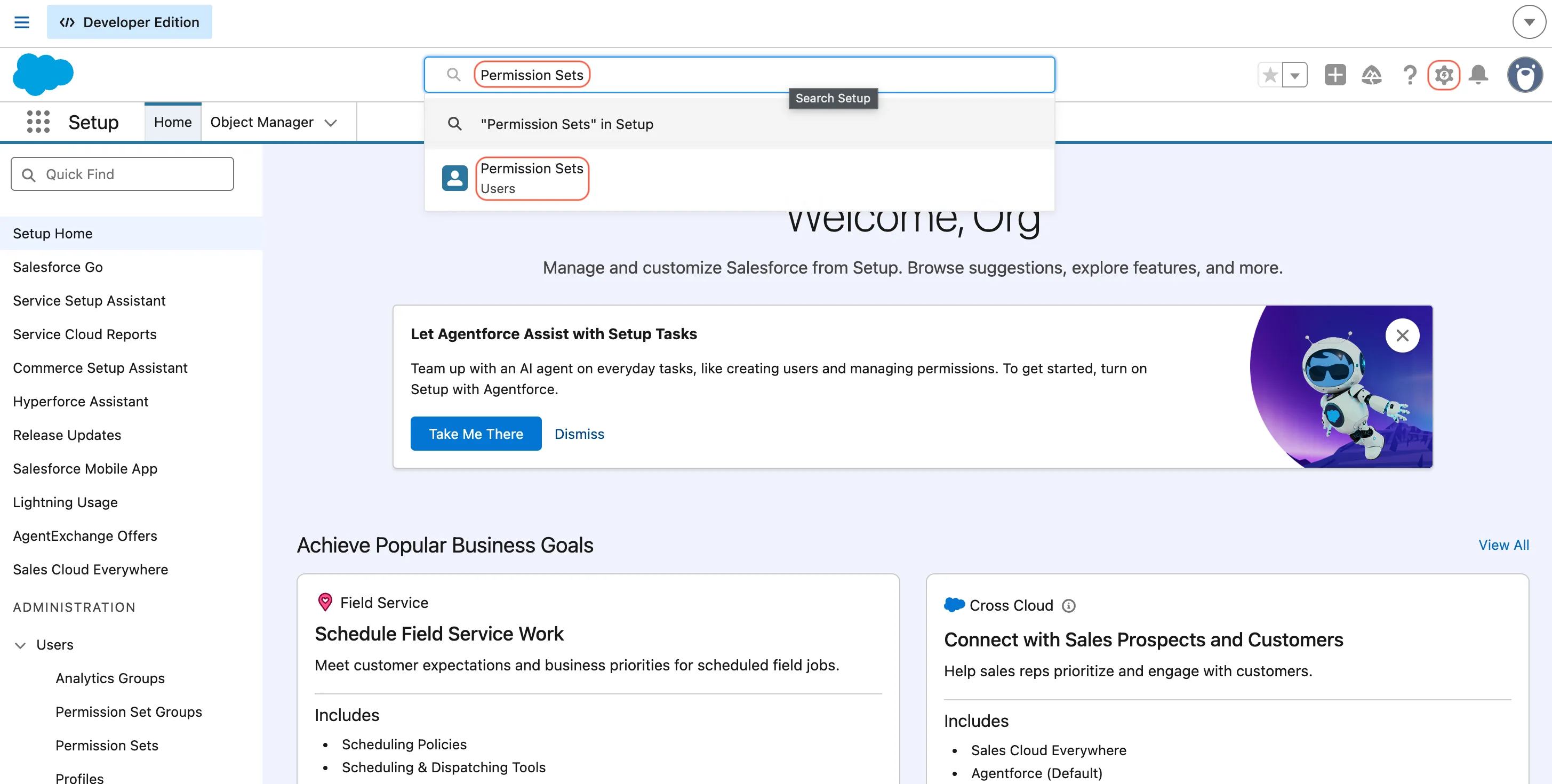 Salesforce Setup showing Permission Sets in Quick Find