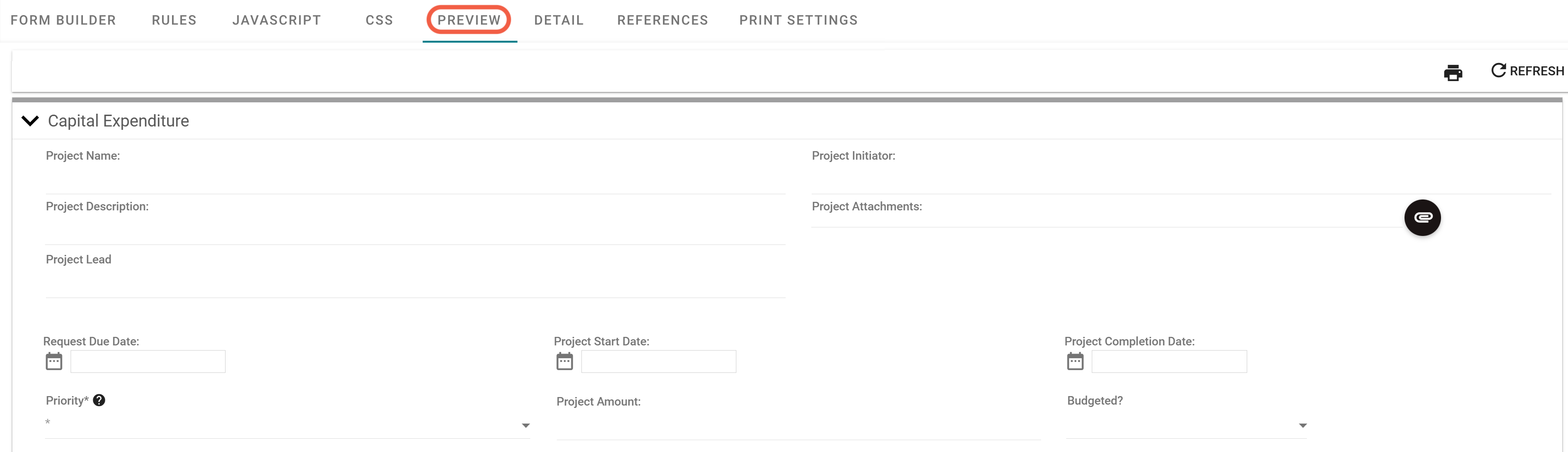 Preview tab showing form appearance during runtime