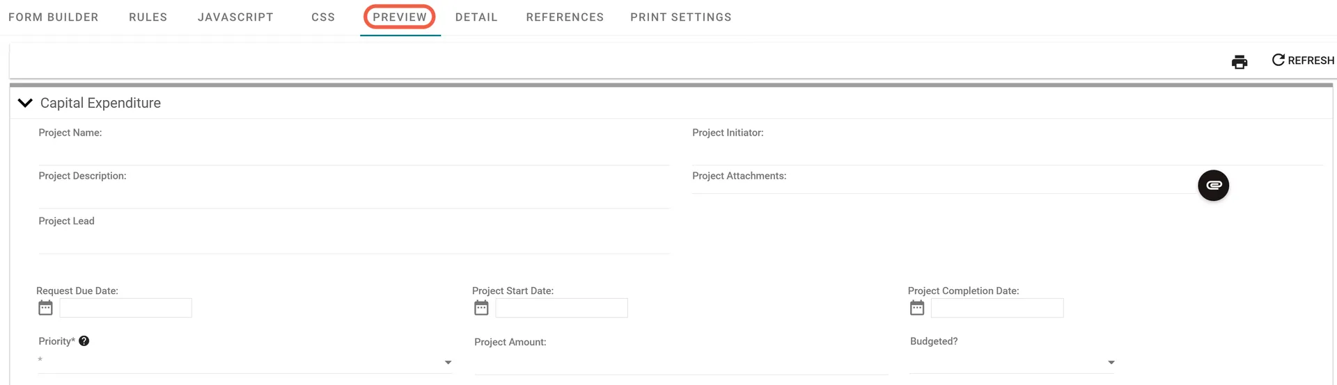 Preview tab showing form appearance during runtime