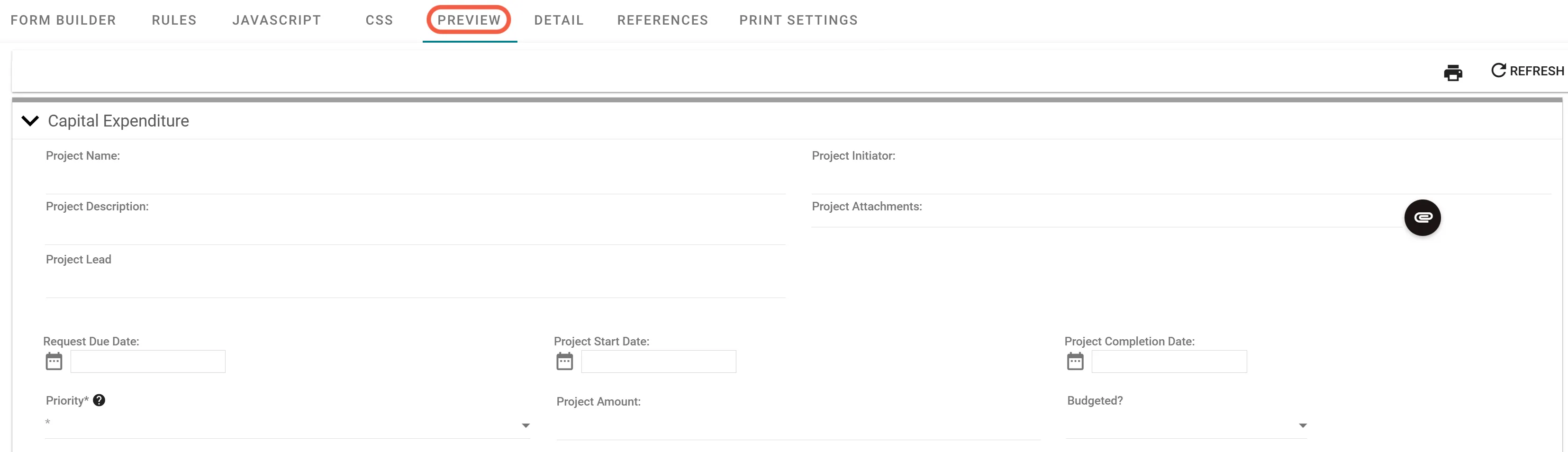 Preview tab showing form appearance during runtime