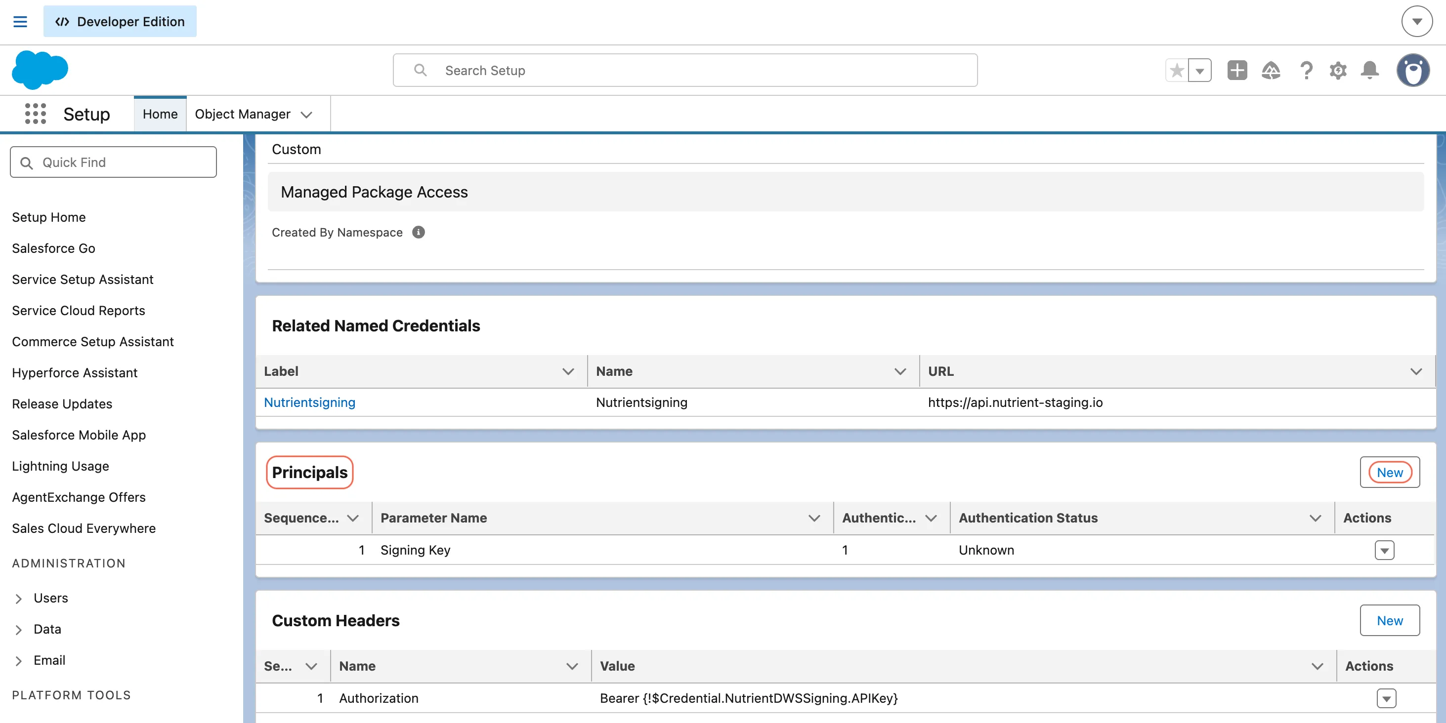 Salesforce External Credential page showing the Principals section and New button