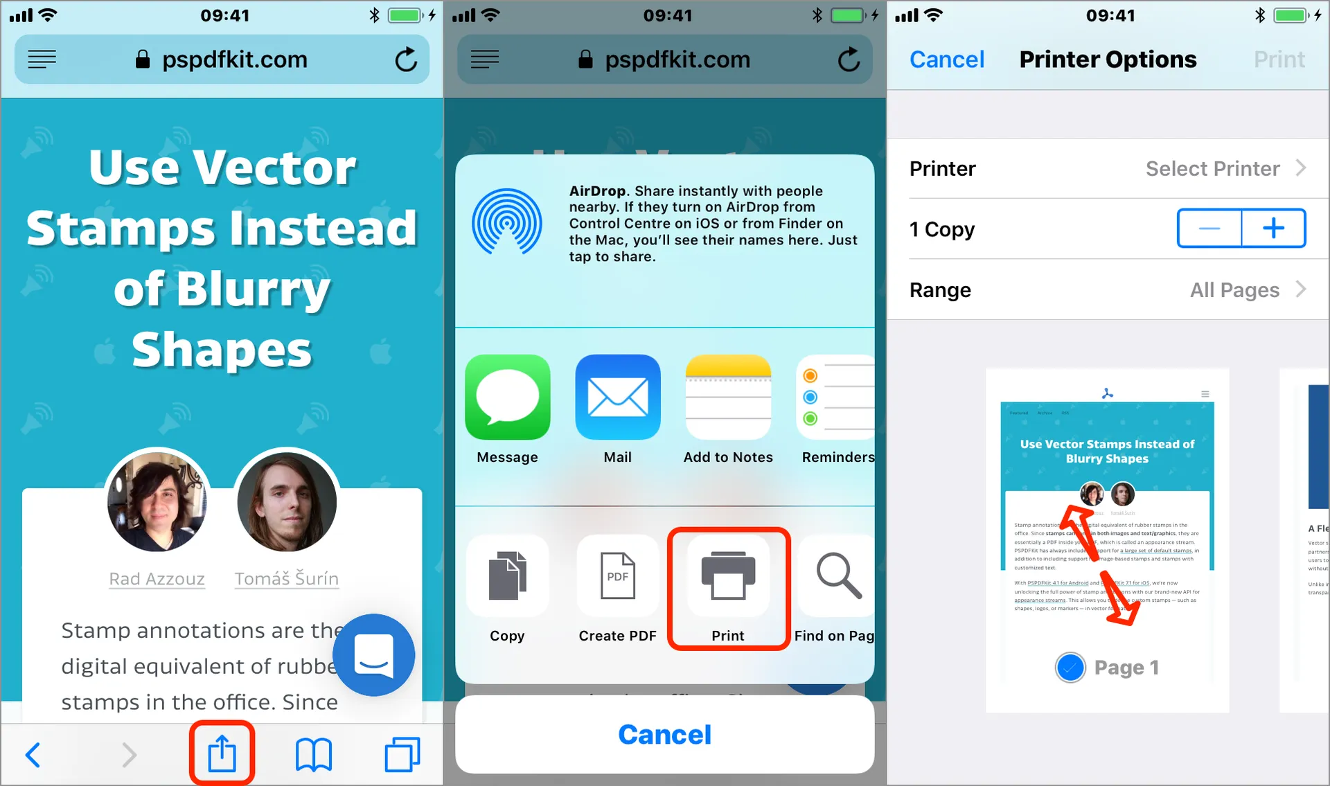 Screen shots of webpage then share sheet then print preview