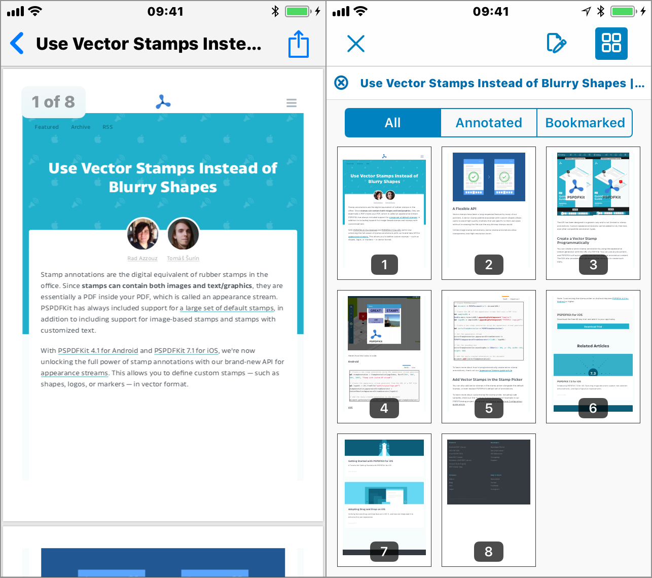 Screen shots of generated PDF