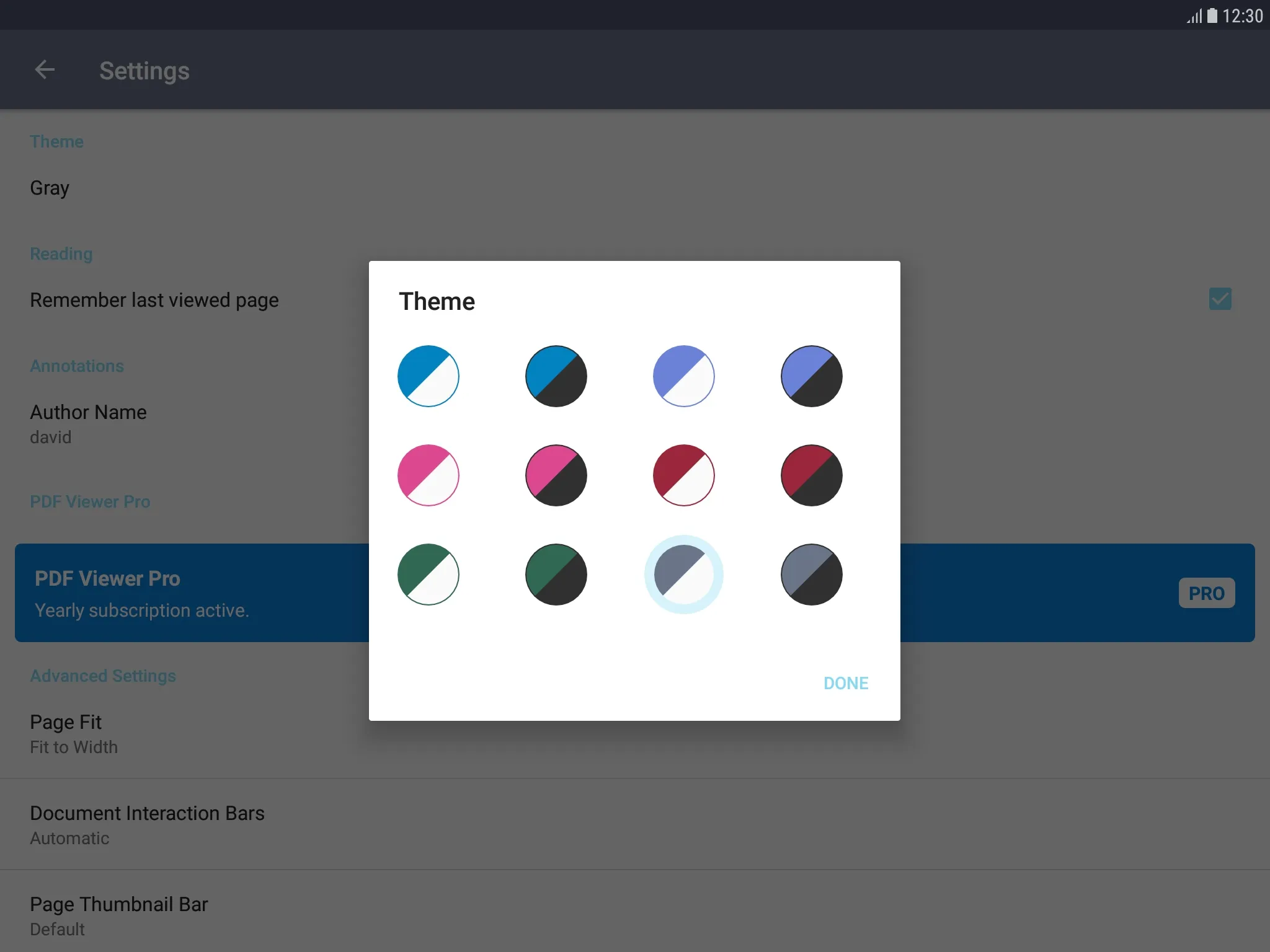 Pro Themes