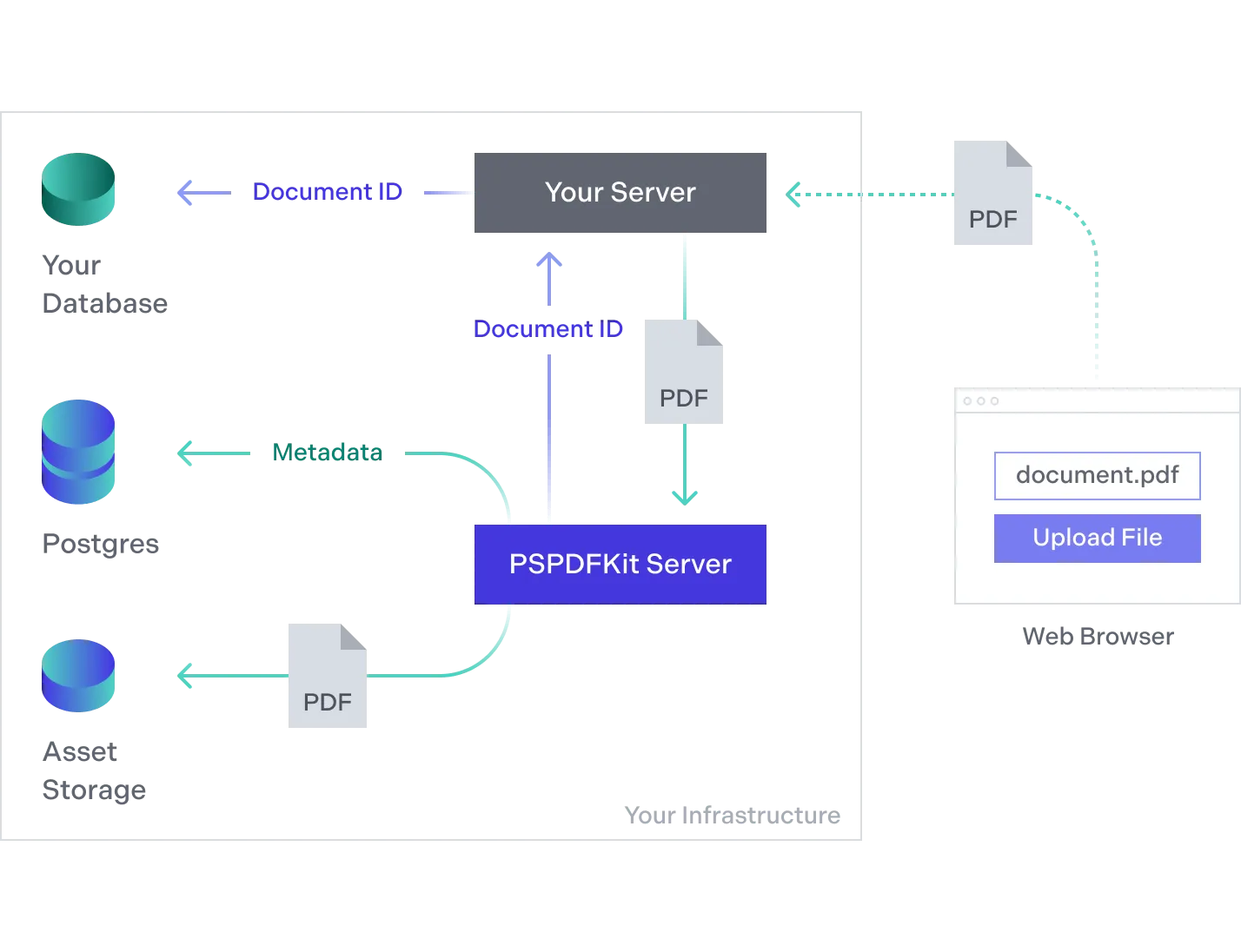 PSPDFKit Server is used to store PDF documents and their annotations. Your server has access to a rich HTTP API.