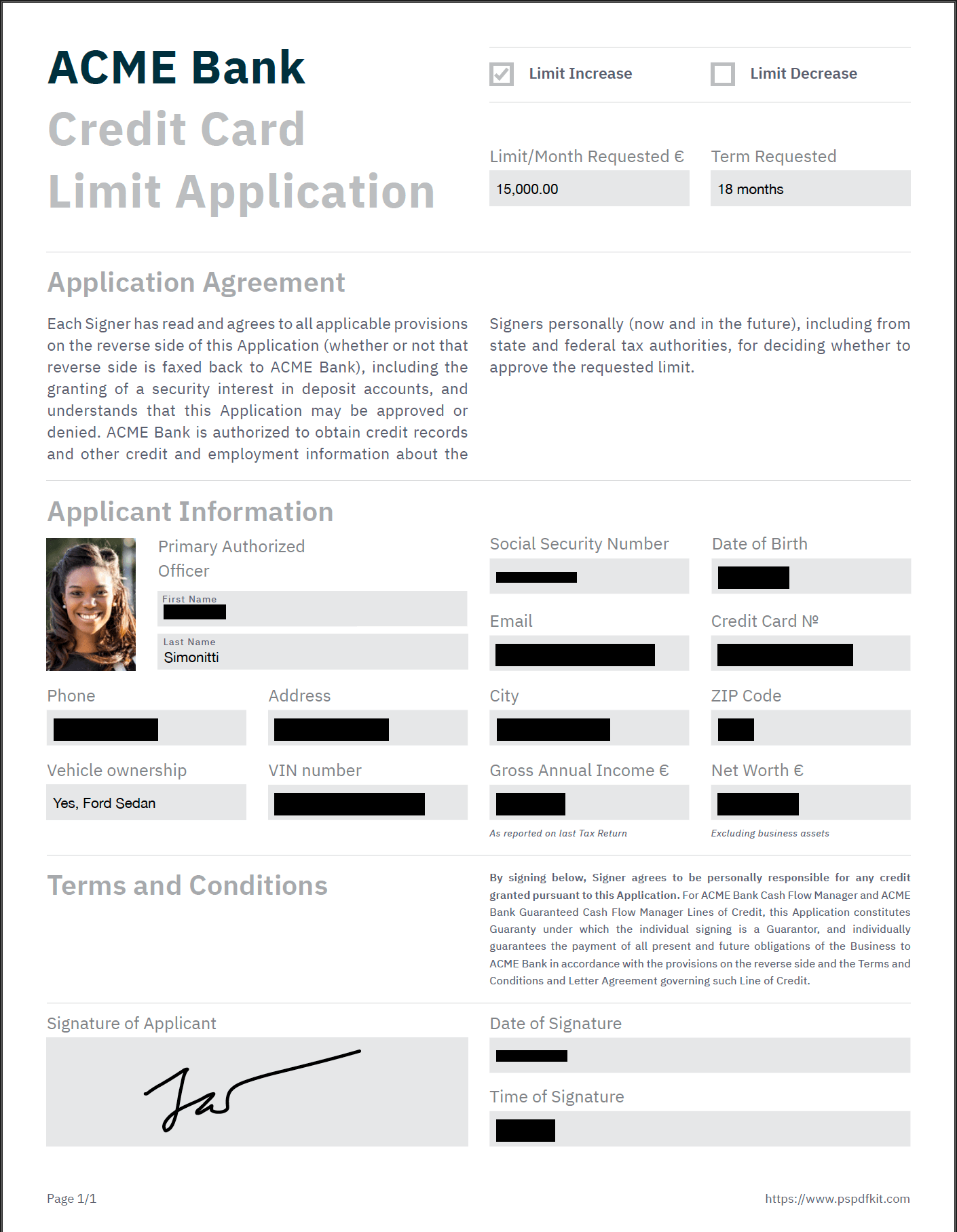 Document with permanent redactions applied