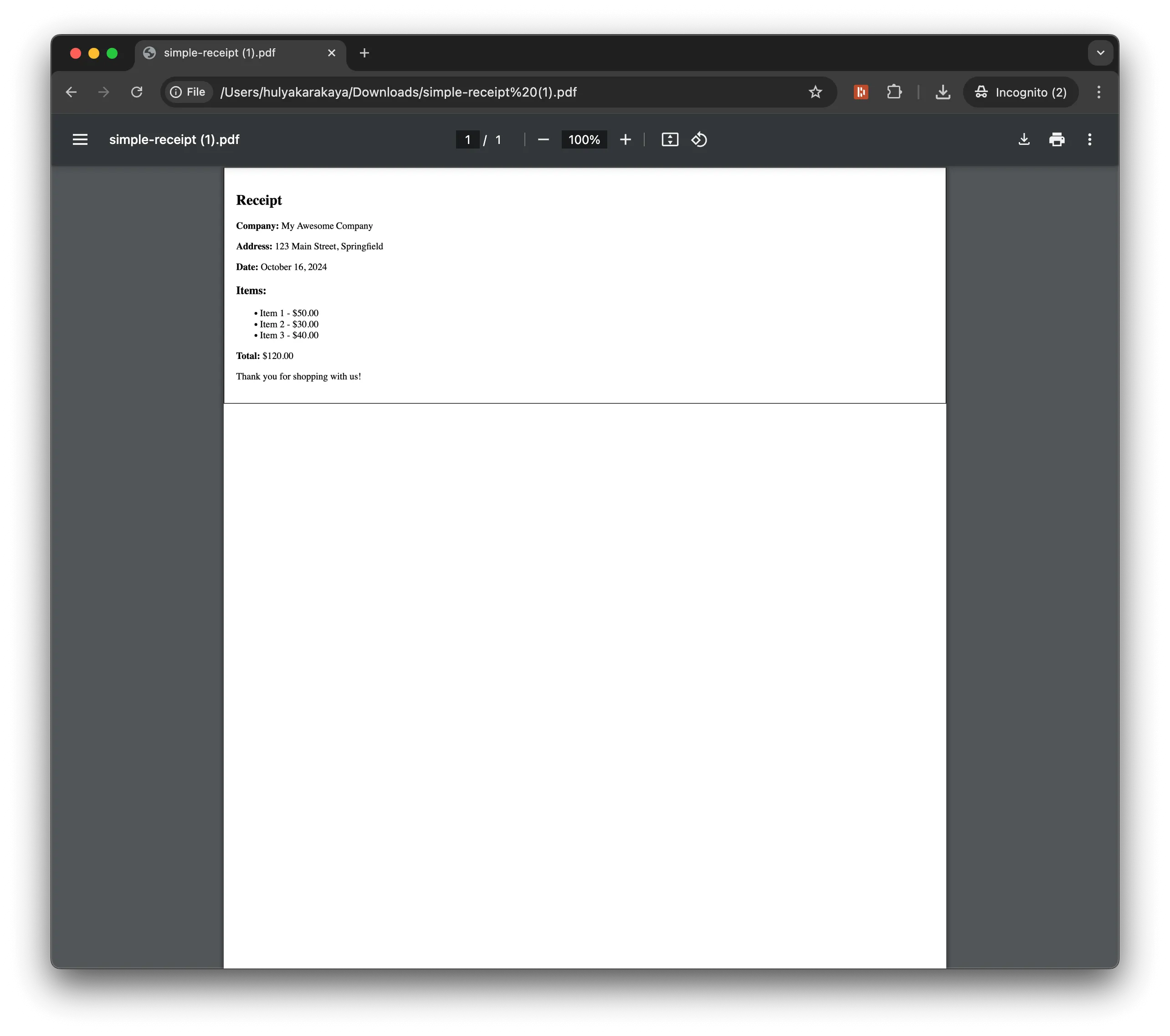 Generated PDF